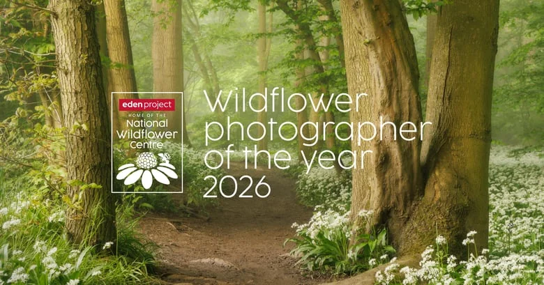 Official Eden Project hero image for the Wildflower Photographer of the Year 2026 competition.
