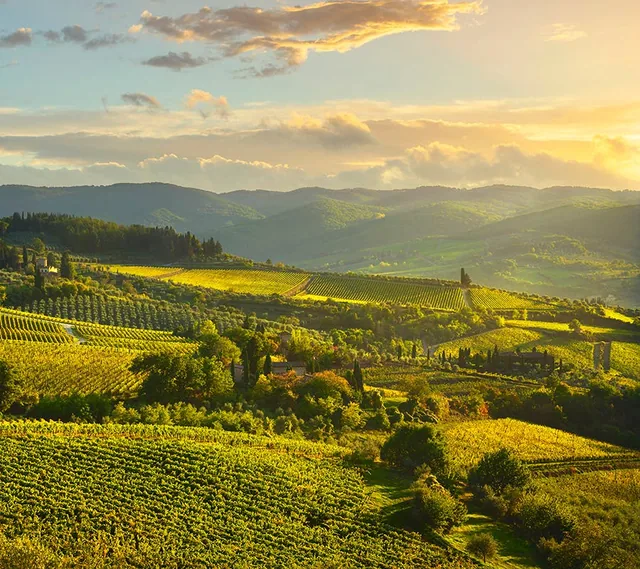Photo of rolling green Tuscan hills at sunset used on the SAQ Inspire "Discover the World" contest page.