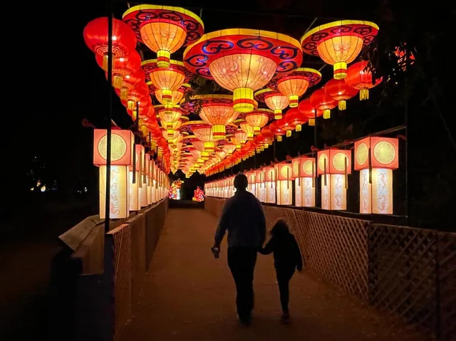 Holiday lanterns lit at a Wichita winter event.
